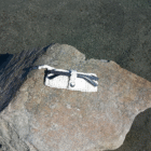 gözlük-organizeri-beyaz4