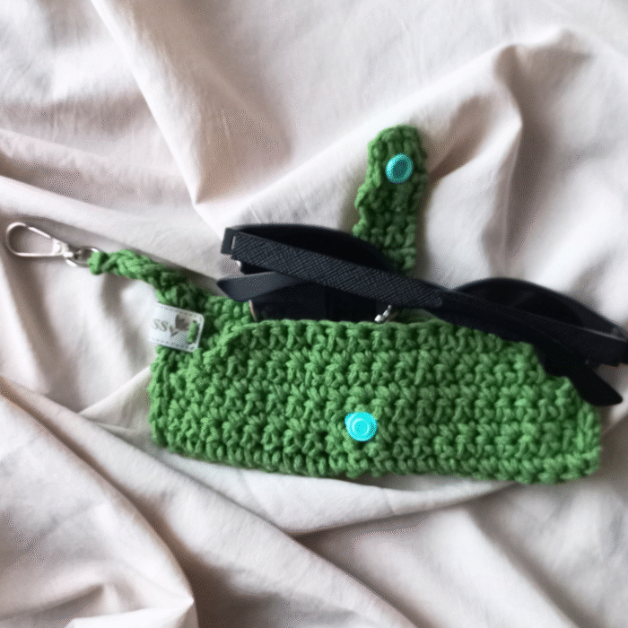 gözlük-organizeri-zyeşili4